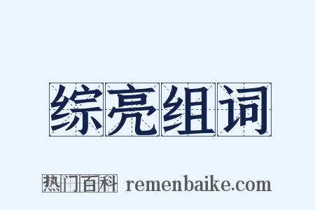 综亮组词是什么意思的图片
